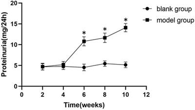 Modified Huangqi Chifeng Decoction Attenuates Proteinuria by Reducing Podocyte Injury in a Rat Model of Immunoglobulin a Nephropathy